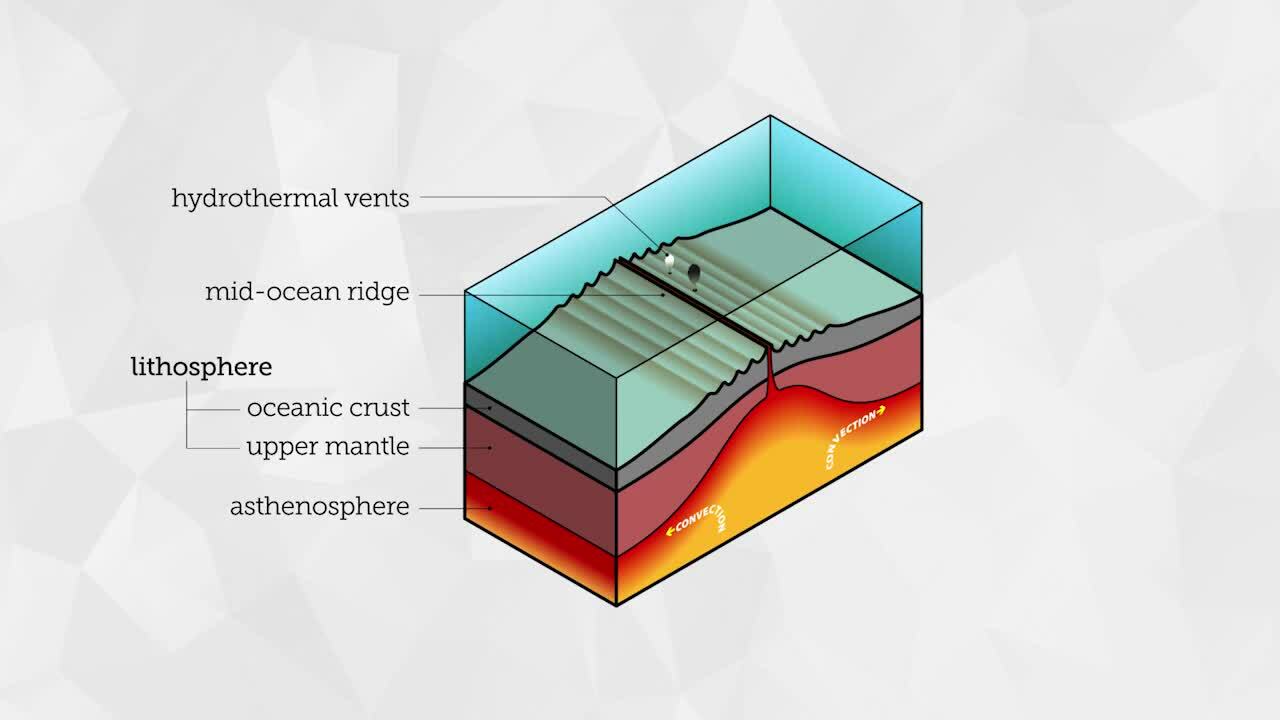 Ocean Floor Features